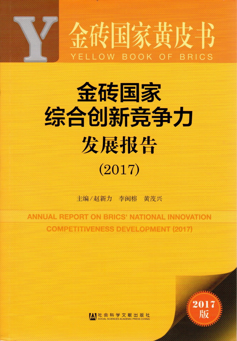 男人靠逼女人免费网站金砖国家综合创新竞争力发展报告（2017）